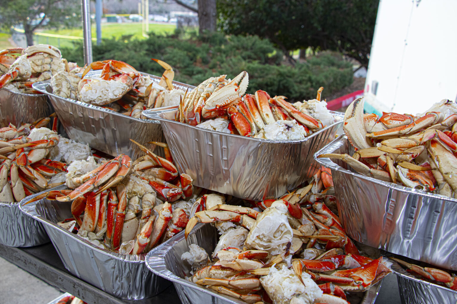 Crab Feed 2023 Thank you!